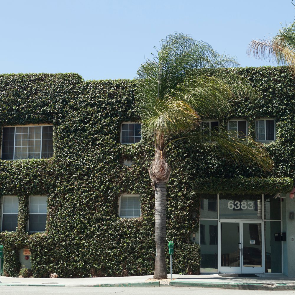 AMDA | AMDA College of the Performing Arts, Los Angeles