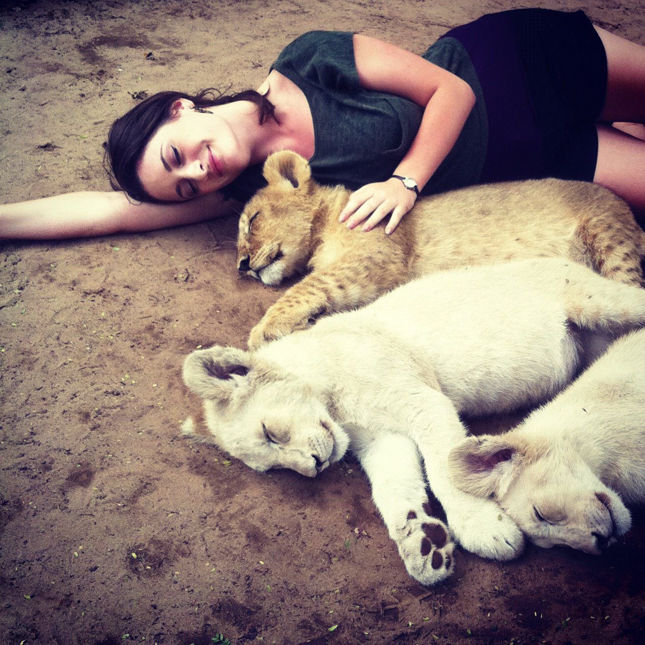 Cuddling with baby lions in South Africa